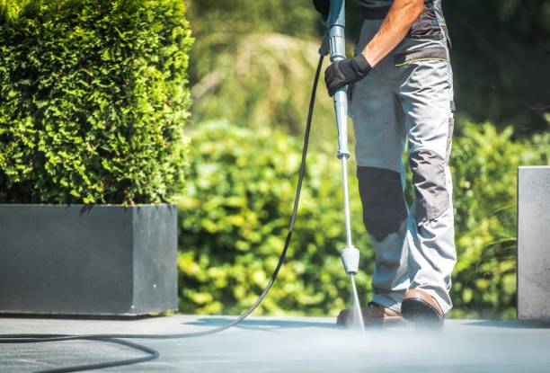 Best Sidewalk and Walkway Cleaning  in Delphos, OH