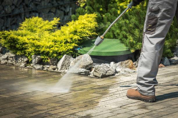 Best Pre-Holiday Cleaning  in Delphos, OH